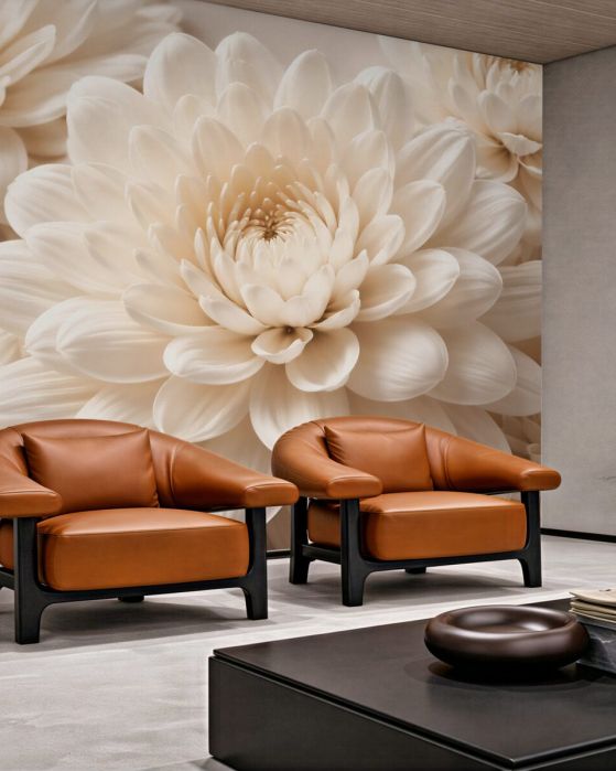 Fototapeten Cremige Dahlien in eleganter Nahaufnahme
