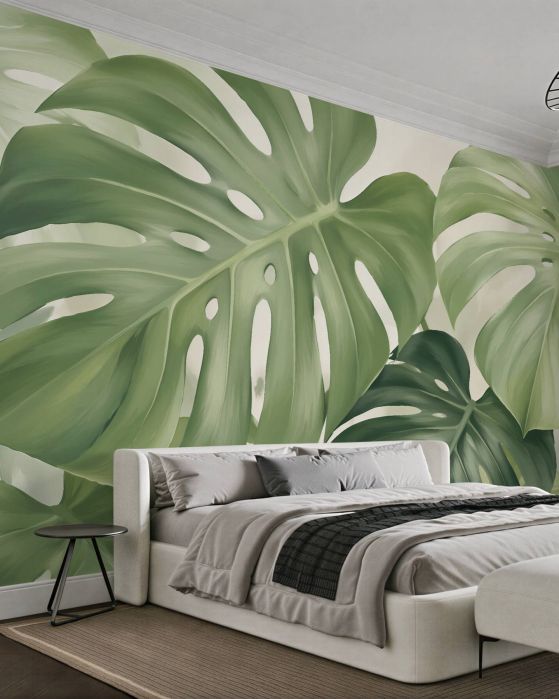 Fototapeten Zarte Monstera-Blätter in Grün