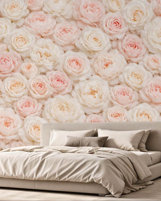 Fototapeten Puderrosa Rosen und cremefarbene Pfingstrosen