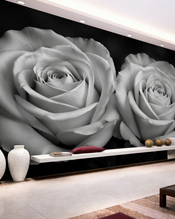 Fototapeten Zwei weiße Rosen auf Schwarz