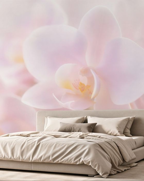 Fototapeten Zarte weiße Orchidee