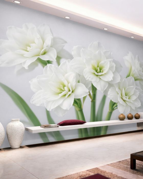 Fototapeten Weiße Amaryllis im sanften Licht