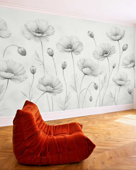 Fototapeten Zarte Mohnblumen in Grautönen