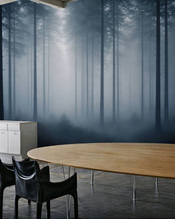 Fototapeten Mystischer Wald im Nebel