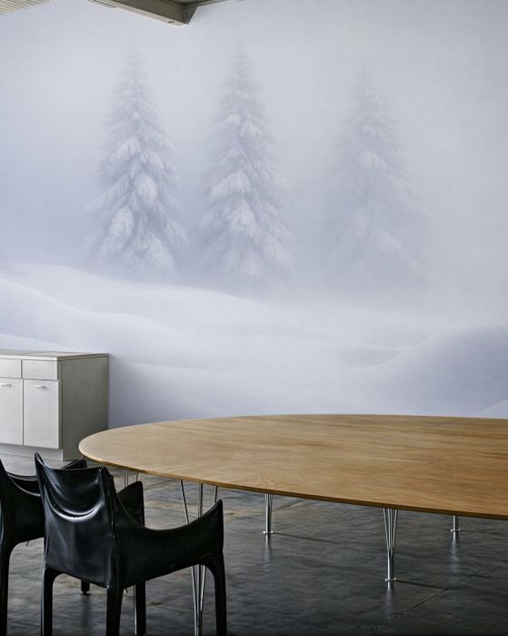 Fototapeten Winterwald im Nebel