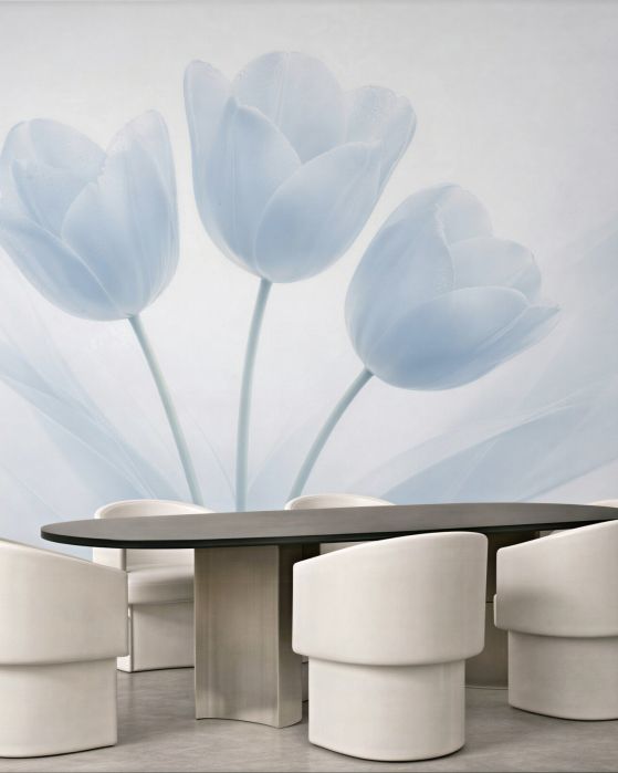 Fototapeten Zarte blaue Tulpen