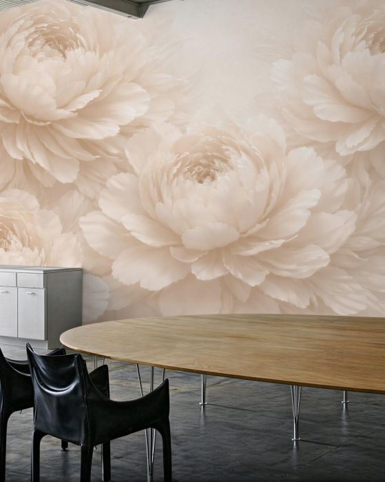 Fototapeten Cremefarbene Pfingstrosen in elegantem Glanz