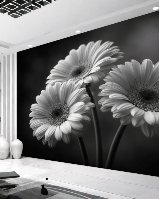Fototapeten Schwarz-weiße Gerbera in eleganter Ausstrahlung
