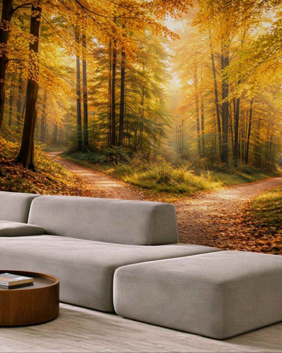 Fototapeten Herbstliche Waldkreuzung