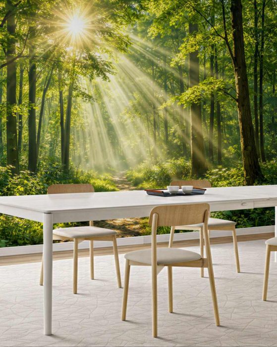 Fototapeten Sonniger Wald mit Waldweg