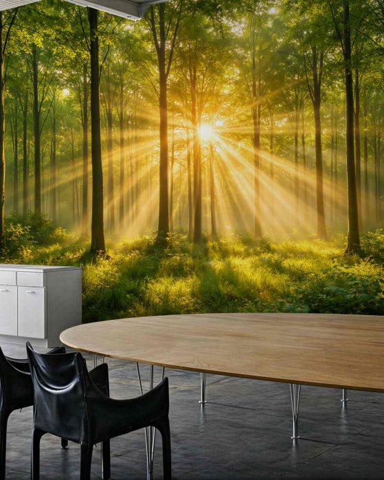 Fototapeten Sonnenstrahlen im grünen Wald