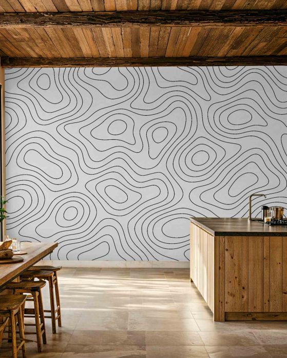 Fototapeten Minimalistische topografische Linien