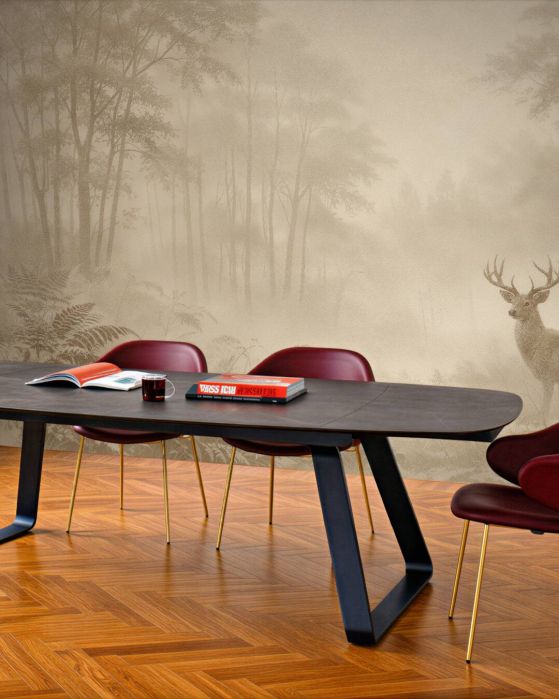 Fototapeten Hirsche im Waldnebel