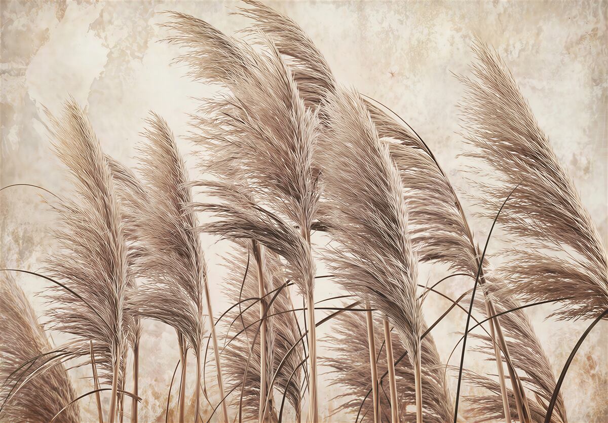 Fototapeten Beige Gräser in sanfter Bewegung