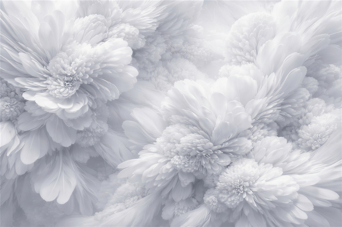 Fototapeten Ätherische weiße Blumen des Luxus