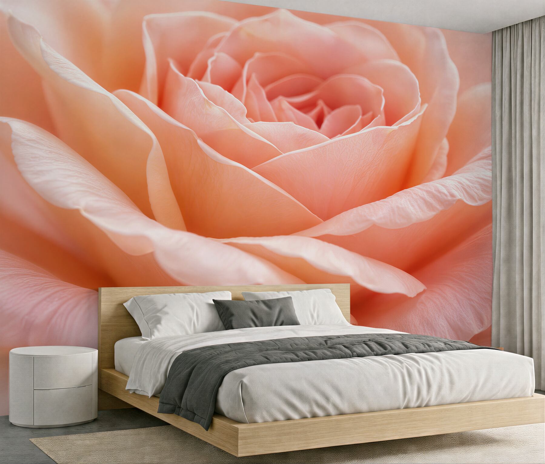 Fototapeten Puderrosa Rose im Makro