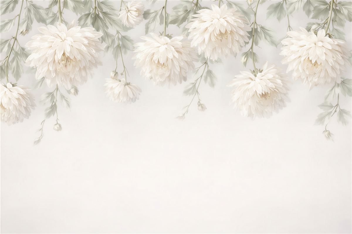 Fototapeten Cremefarbene Chrysanthemen in sanftem Schimmer