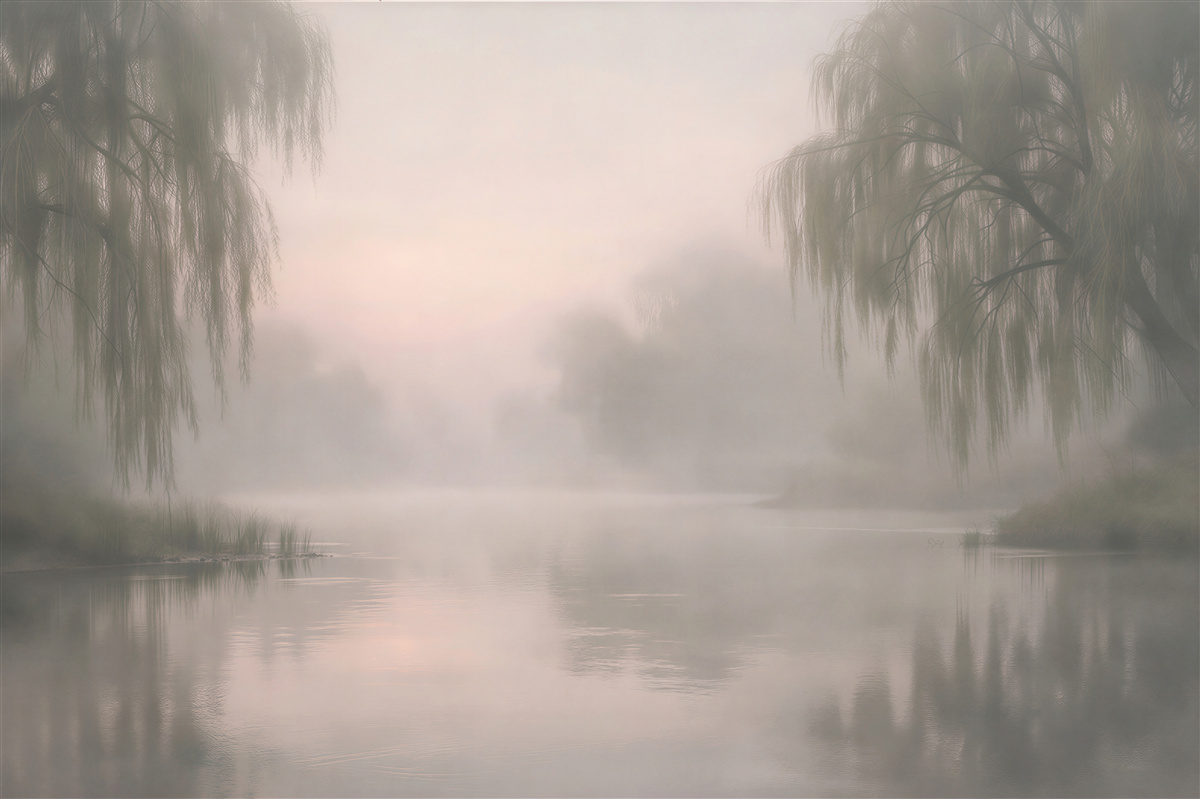 Fototapeten Nebliger Teich mit Weiden
