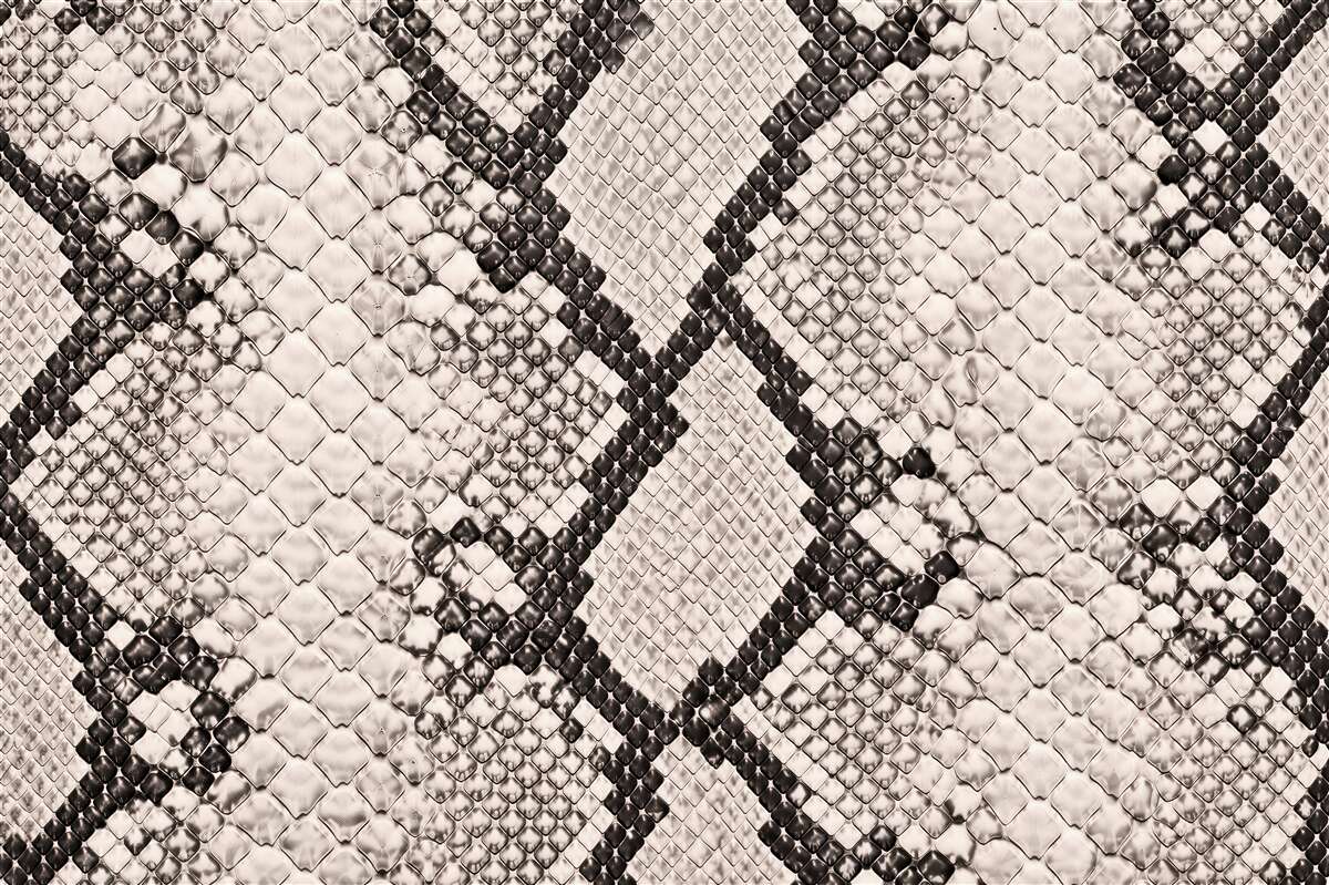 Fototapeten Luxuriöse Schlangenhaut-Textur