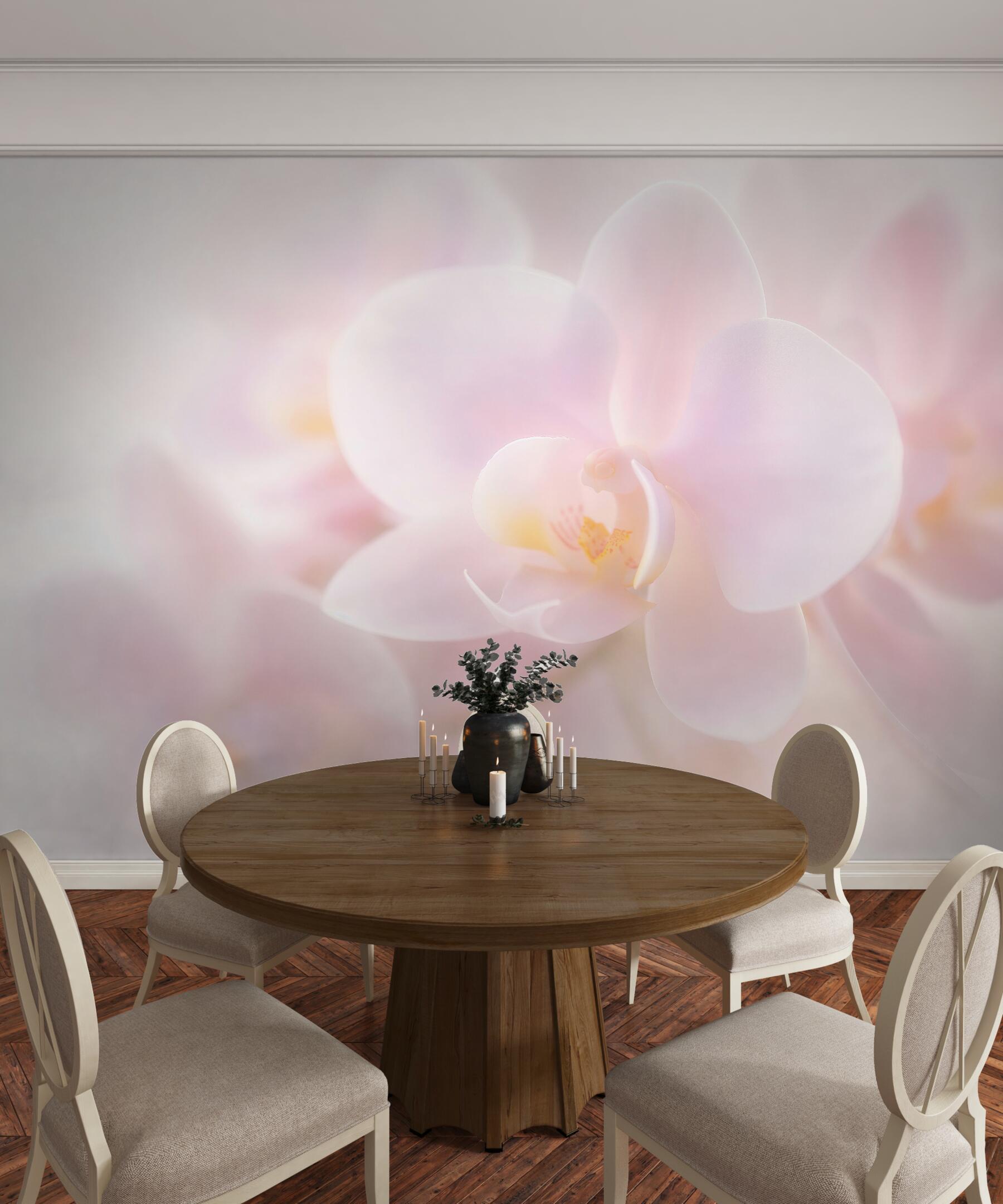 Fototapeten Zarte weiße Orchidee