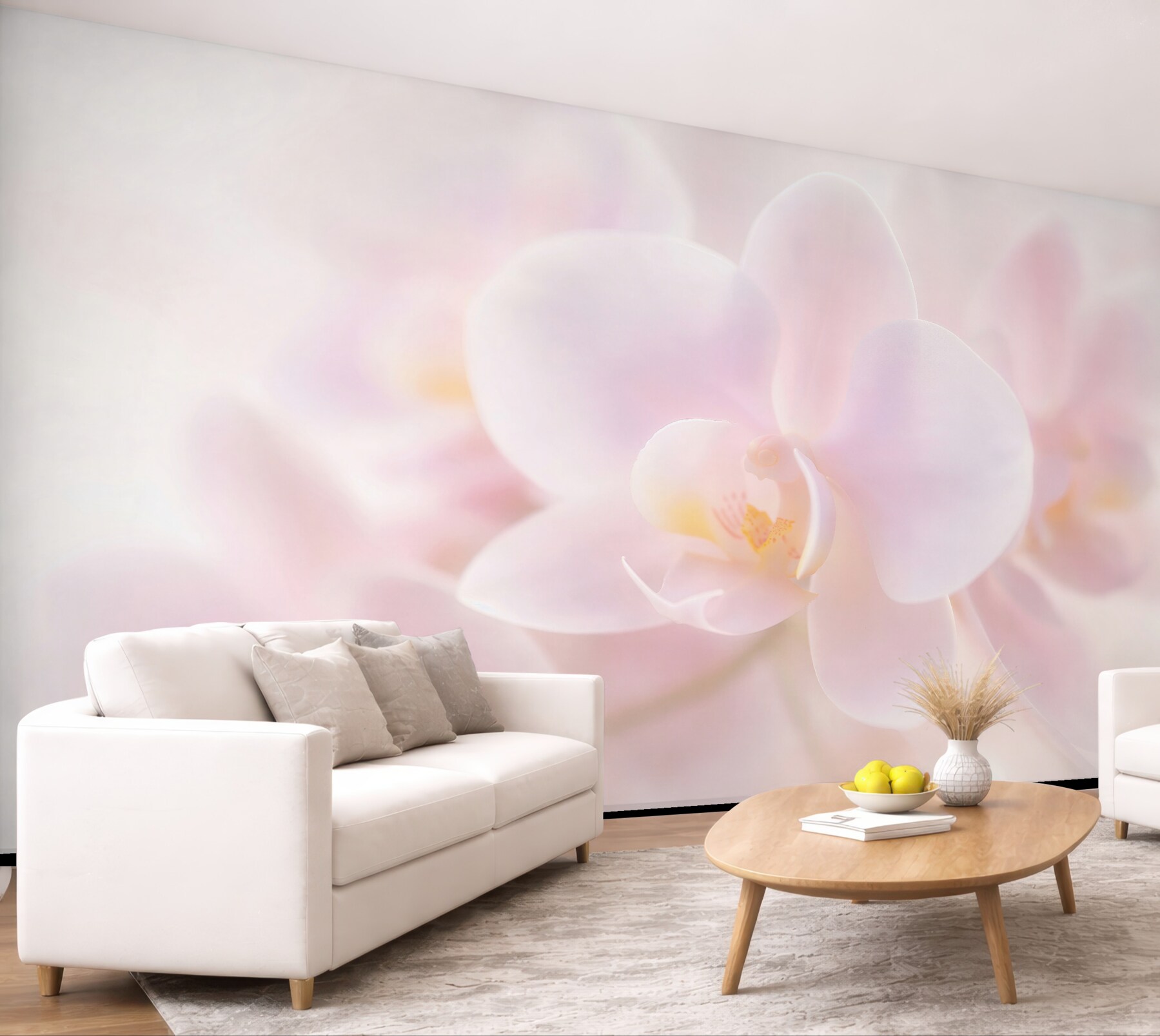 Fototapeten Zarte weiße Orchidee