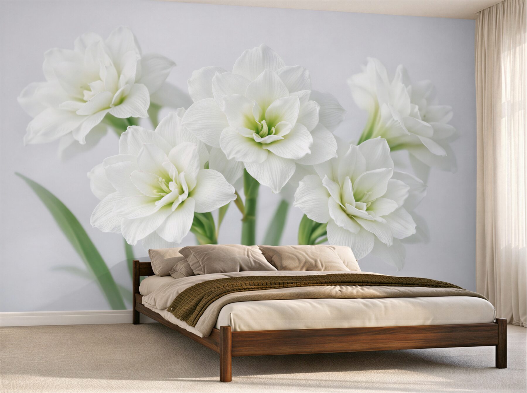 Fototapeten Weiße Amaryllis im sanften Licht