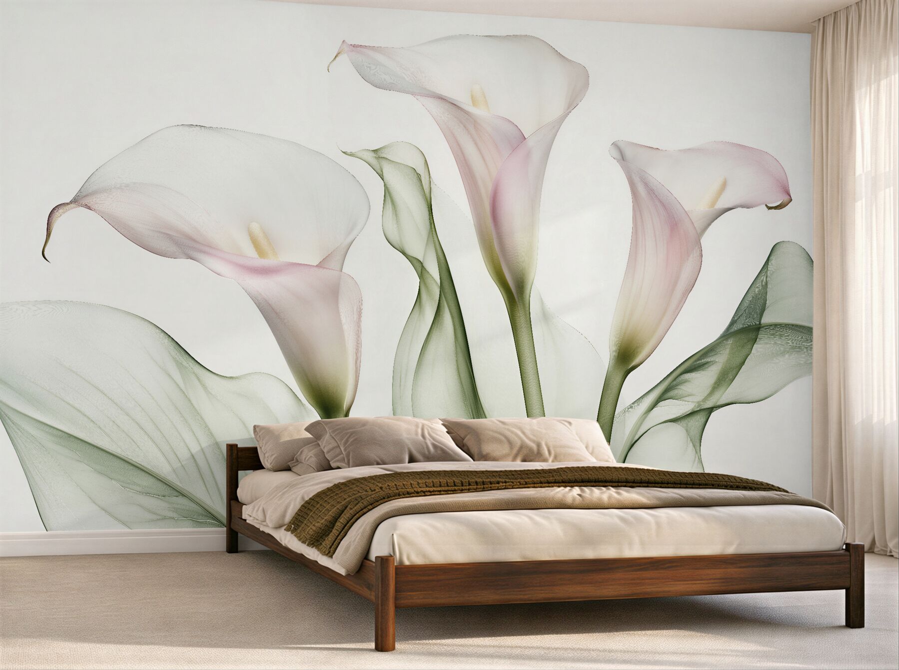Fototapeten Zarte Calla in rosigem Weiß
