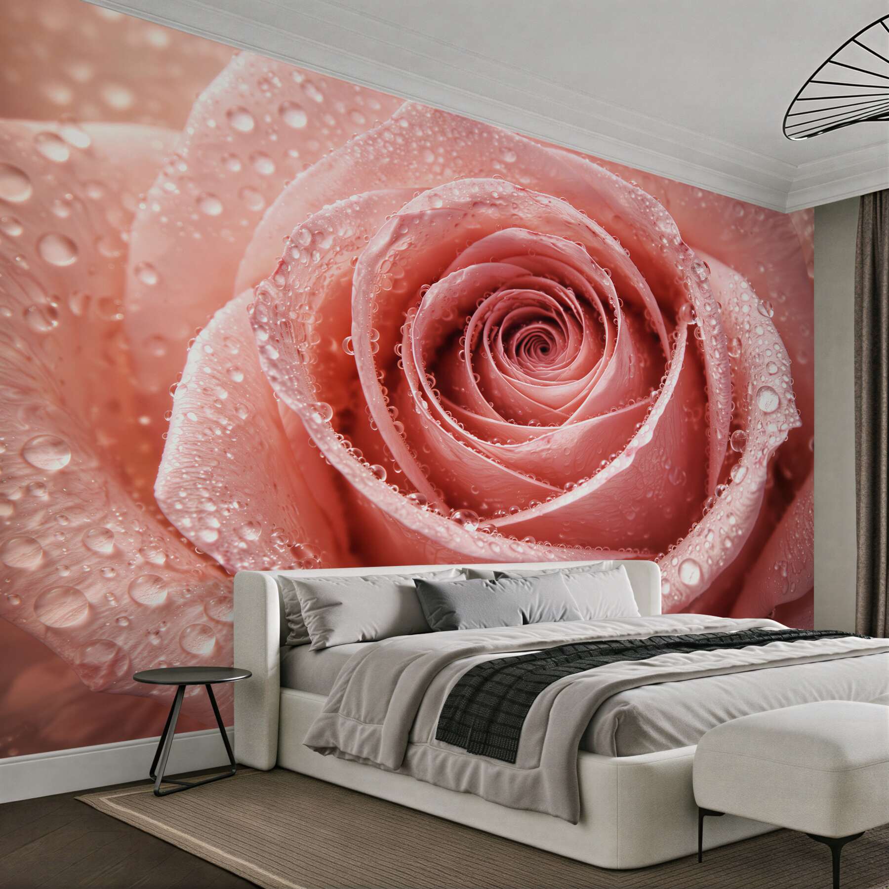 Fototapeten Puderrosa Rose in Tautropfen