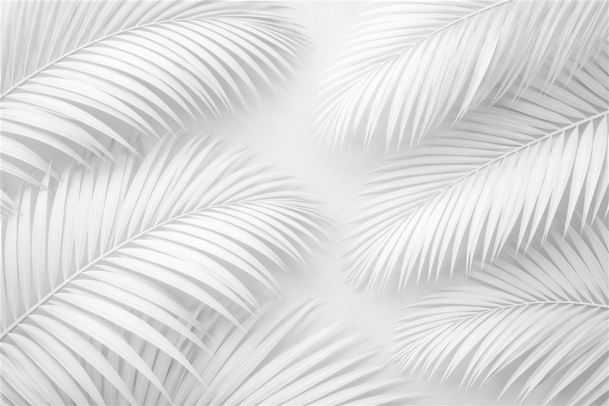Fototapeten Weiße Palmblätter im minimalistischen Rhythmus