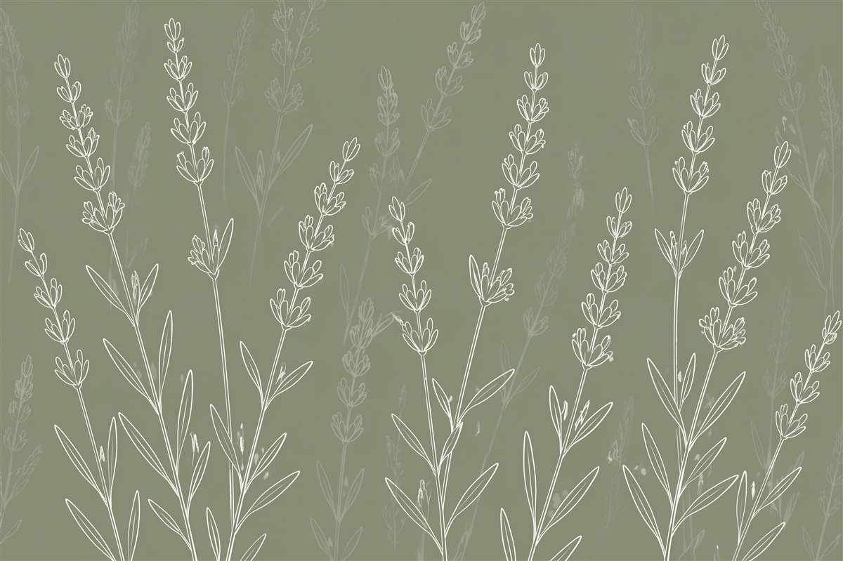Fototapeten Zarter Lavendel in minimalistischer Linienzeichnung