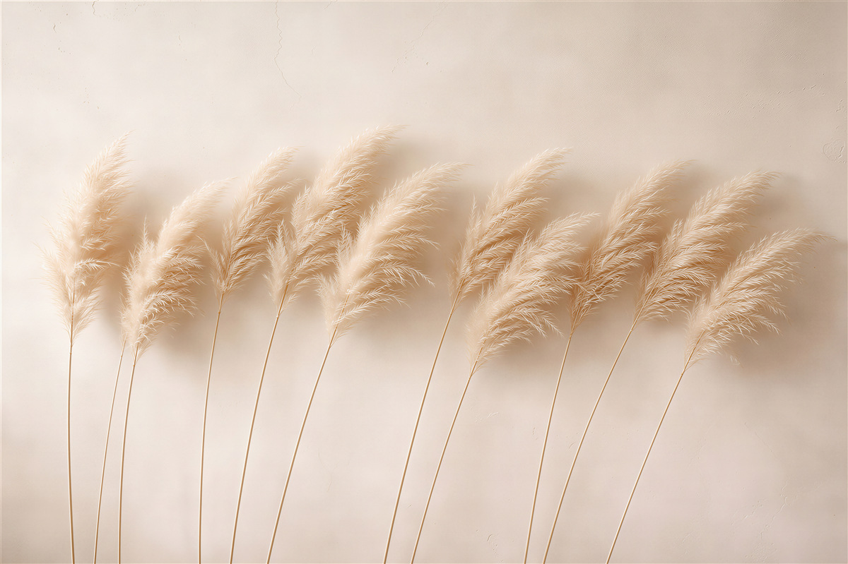 Fototapeten Beige Gräser in sanfter Bewegung