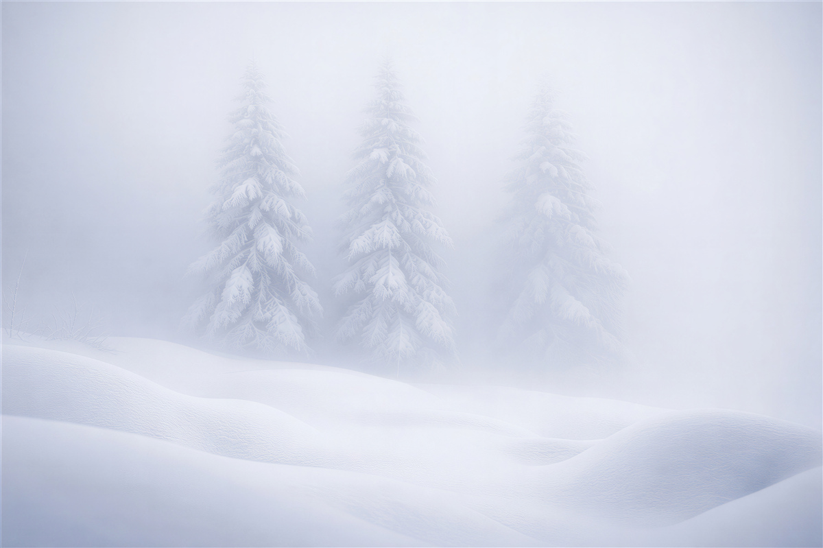 Fototapeten Winterwald im Nebel