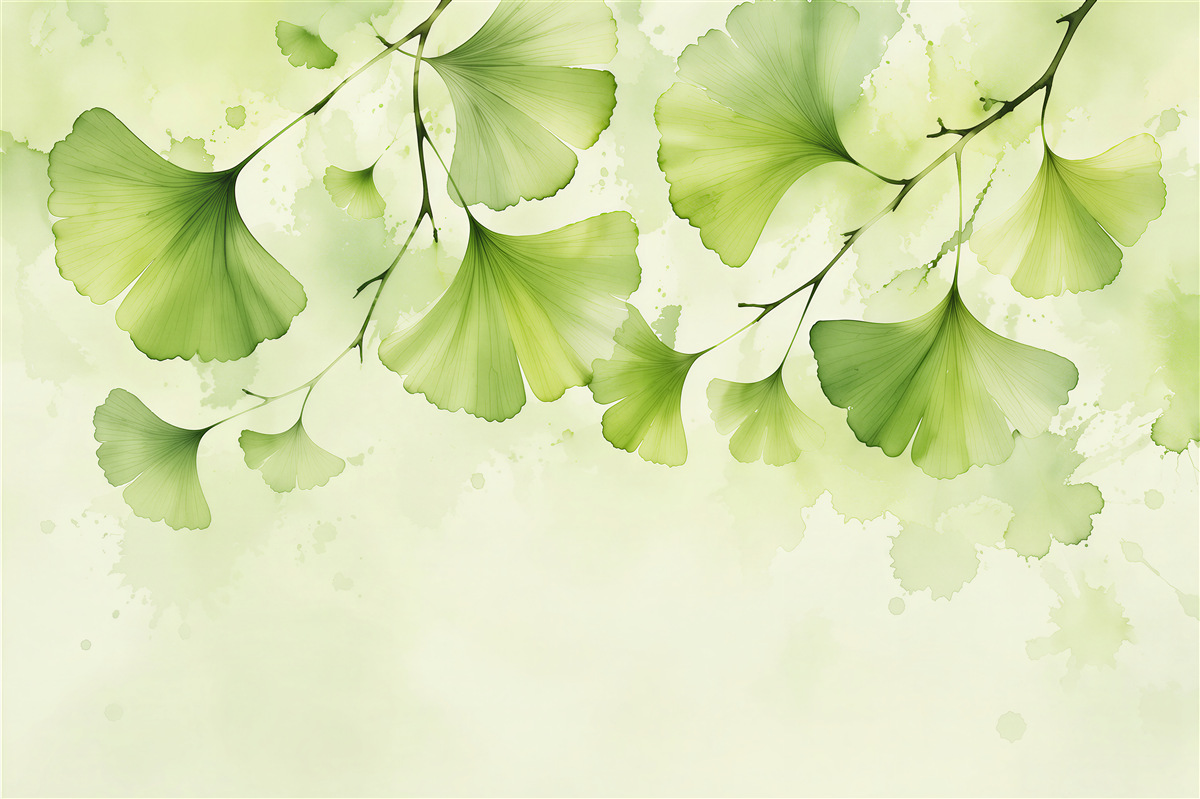 Fototapeten Grüne Ginkgoblätter in Aquarell