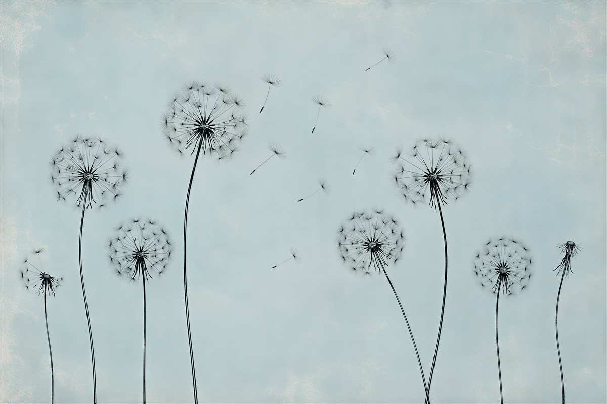 Fototapeten Pusteblumen auf blauem Hintergrund