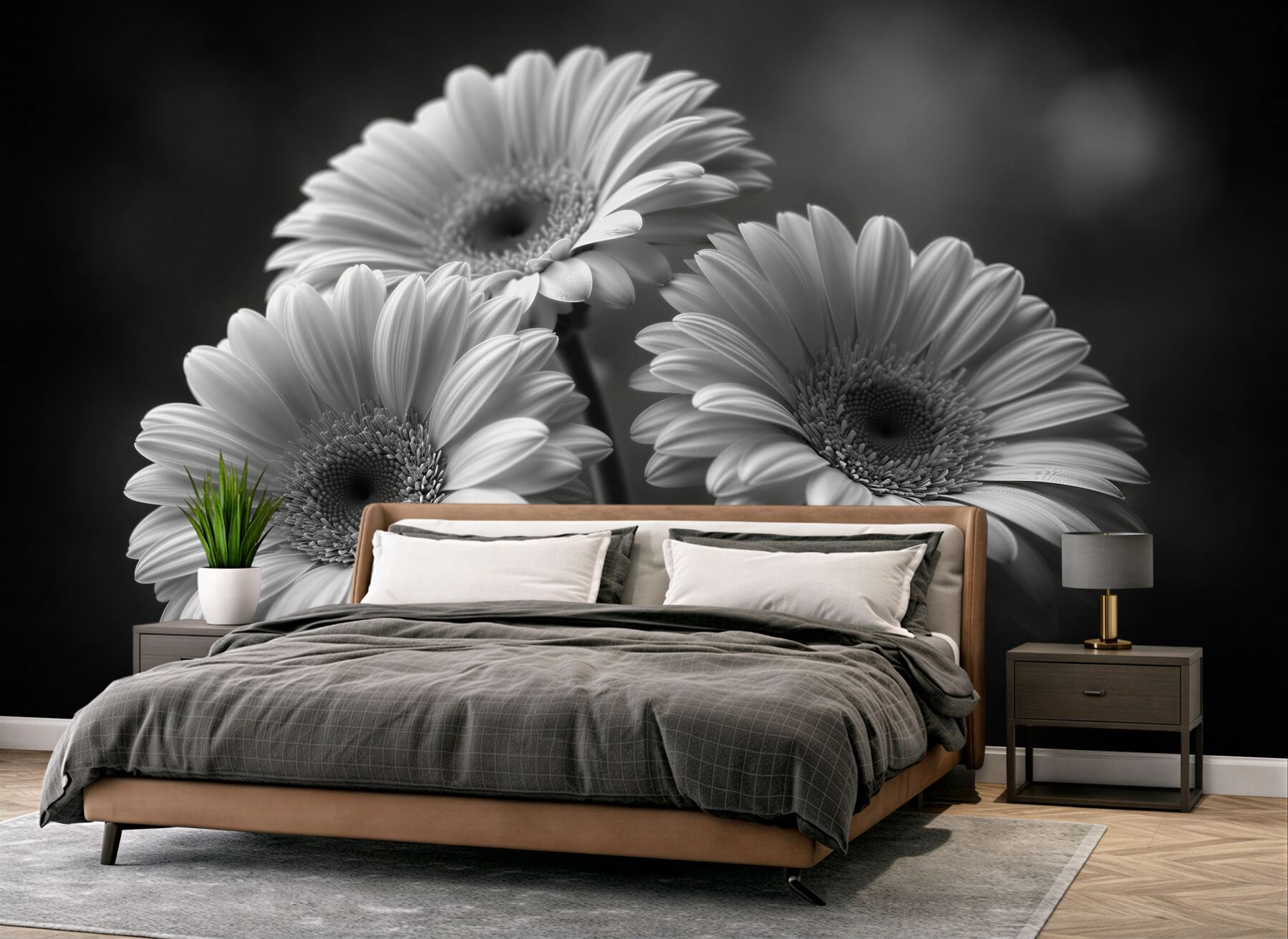 Fototapeten Schwarz-weiße Gerbera in eleganter Ausstrahlung